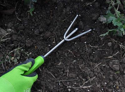 Griffe cultivateur YARDSMITH