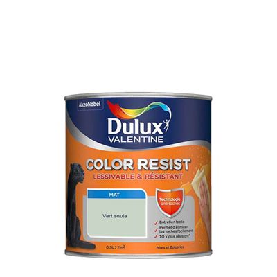 Peinture Color Resist murs et boiseries Vert Saule mat 0,5 L - DULUX VALENTINE