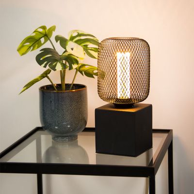 Ampoule LED hologramme cage cylindre noir 4 W = 200 Lumens blanc chaud - XANLITE