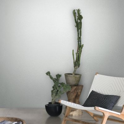 Peinture Crème de Couleur Flocon mat 2,5 l - DULUX VALENTINE