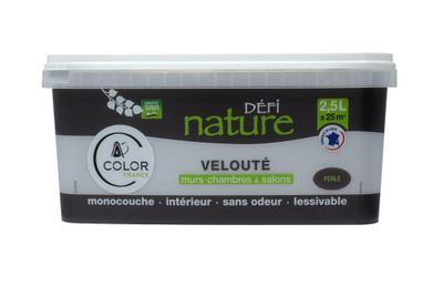 Peinture naturelle murale Perle velours 2,5 L - DEFI NATURE