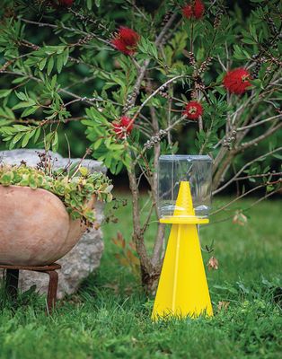 Cymatrap - piège à punaise diabolique