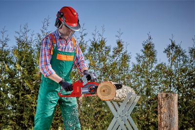 Elagueuse Fortexxa à batterie 18 V guide 27 cm EINHELL