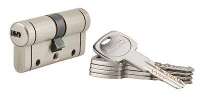 Cylindre de serrure double entrée 30 x 30 mm Trafic 12 très haute sécurité nickelé 5 clés THIRARD