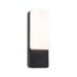 Applique extérieur LED IP44 800 lumens blanc chaud Anthracite - Bonnie PAULMANN