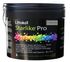 Colle starlike pro terre brume 2,5kg LITOKOL