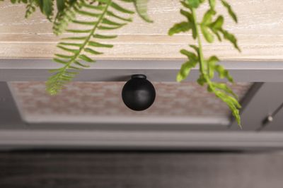 Bouton de meuble boule noir mat diamètre 28 mm REI