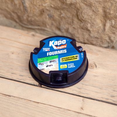 Boites appât anti fourmis par 4 KAPO