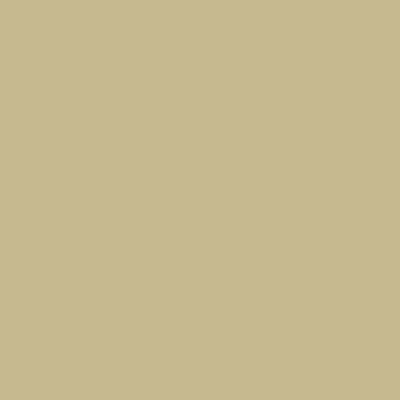 Peinture Crème de Couleur Bambou satin 0,5 L - DULUX VALENTINE