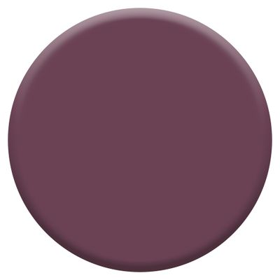 Peinture crème de couleur Mure Sauvage velours 0,5L - DULUX VALENTINE