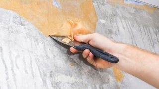 Nomenclature Grattoir, couteau à enduire et spatule de peintre