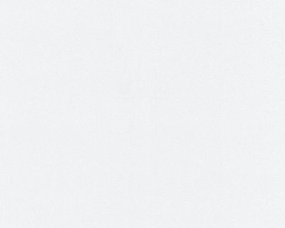 Papier à peindre expansé granité fin blanc 53 cm x 10 m AS CREATION