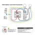 Interrupteur va-et-vient et bouton poussoir aluminium - Odace 2011 SCHNEIDER ELECTRIC