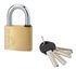 Cadenas à clé haute sécurité largeur 50 mm THIRARD