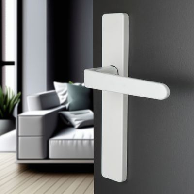 Poignées de porte sur plaques sans trou double entraxe Celio blanc ALPERTEC