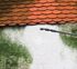 Anti-dépôts verts concentré 1 L pour toiture et façade - RIPOLIN_NEW