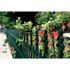 Peinture fer antirouille vert potager brillant 0,5 L - JULIEN