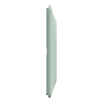 Plaque de finition 1 poste sauge - Ovalis SCHNEIDER ELECTRIC