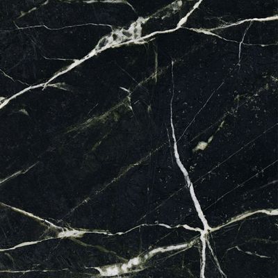 Panneau mural de douche 100x210 cm marbre noir vert DécoDesign Softtouch - SCHULTE