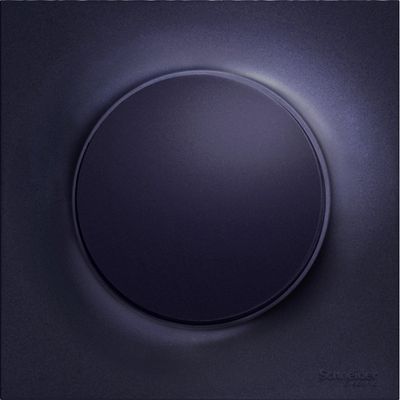 Plaque de finition 1 poste anthracite - Odace 2011 Touch SCHNEIDER ELECTRIC