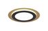 Plafonnier MORGAN rond or et noir LED 42W 5600 lumens blanc dynamique CCT - TRIO