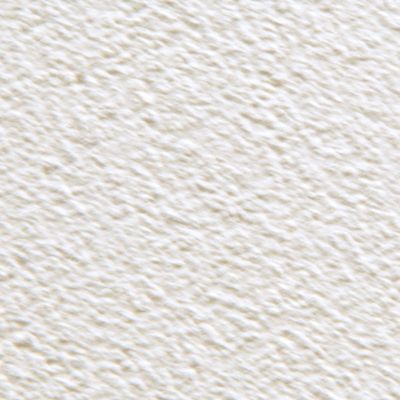 Enduit Antalys lin 15 kg - COLOR FRANCE