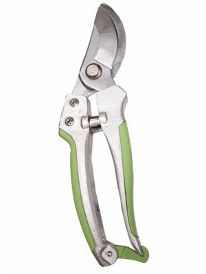 Lot  coupe-branches secateur