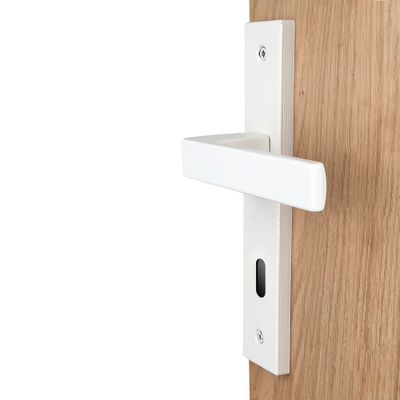 Poignées de porte sur plaques à clé Loft blanc mat ALPERTEC