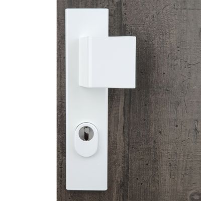 Poignées de porte palière sur plaques à cylindre Odin blanc ALPERTEC