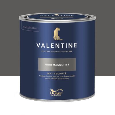 Peinture Valentine Mat Velouté Noir Magnétite 0,5 L - DULUX VALENTINE
