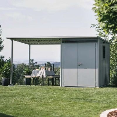 Auvent pour abri de jardin AvantGarde A3, A7 gris quartz métallique T. L - BIOHORT