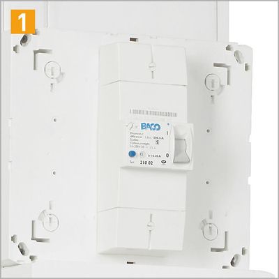 Disjoncteur de branchement ENEDIS 2 pôles 15 - 45 A 500 mA LEGRAND