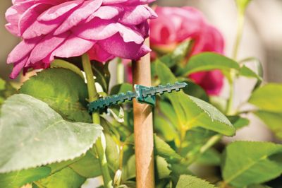 Liens horticoles crantés en plastique 35 cm par 20 - WINDHAGER