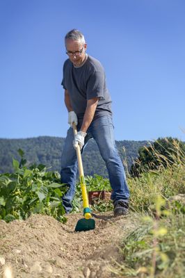 Houe standard 14 cm manche bois LEBORGNE