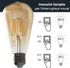 Ampoule LED EDISON ambrée 6W 720 lumens dimmable blanc chaud - ARLUX