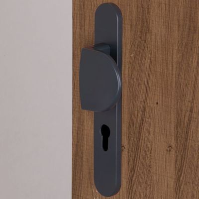 Demi-ensemble de poignée pour porte palière à cylindre Avoriaz 195mm aluminium gris anthracite ALPERTEC