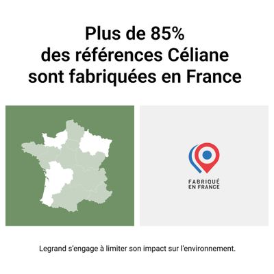 Plaque de finition 1 poste Frêne wengué - Céliane LEGRAND