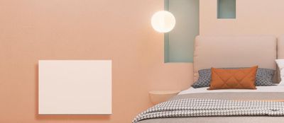 Radiateur à inertie sèche Nessa 1000 W BESTHERM