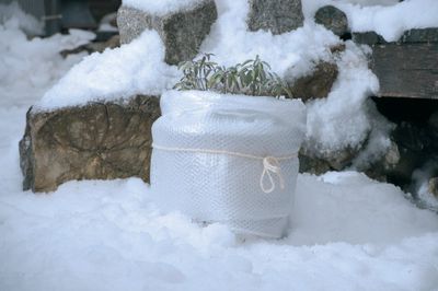 Film à bulles d'hivernage  1 X 5 m WINDHAGER