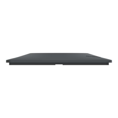Plaque de finition 2 postes verticale anthracite - Ovalis SCHNEIDER ELECTRIC