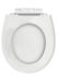 Abattant de WC thermoplastique blanc Neon+ - WIRQUIN