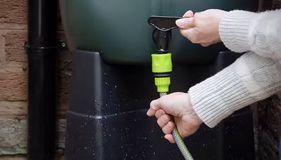 Installation d'un récupérateur d'eau