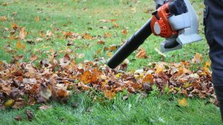 Nomenclature Souffleur - Aspirateur/Souffleur