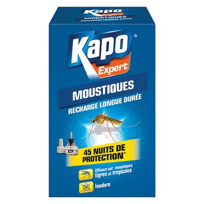Insecticide aérosol cafards et blattes KAPO, 400 ml