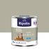 Peinture murs, boiseries et radiateurs vert bourrache mat 0,5L RIPOLIN