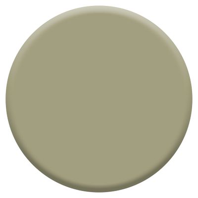 Peinture crème de couleur Vert Orpin velours 1L - DULUX VALENTINE