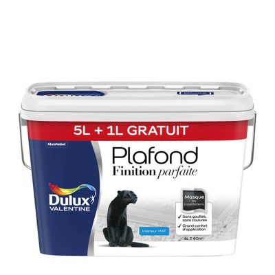 Peinture plafond acrylique Finition Parfaite blanc mat 5 L + 20 % - DULUX VALENTINE