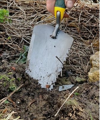 Transplantoir à dents Duopro manche bi-matière