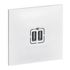 Prise double USB-A encastrable complète Blanc - Neptune LEGRAND