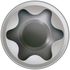 Vis terrasse Torx 5 x 50 mm par 200 SPAX
